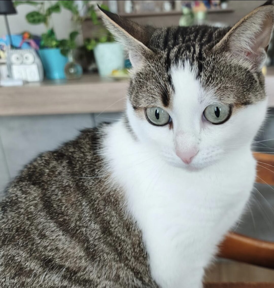 Luna
